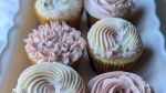 Cupcakes from Delightful Cravings. (Supplied)