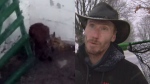 The escaped kangaroo can be seen on Winchester Road in Oshawa, Ont. Friday, alongside zoo employee Cameron Preyde. (CP24)