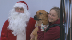 A dog gets its picture with Santa at the Pawliday Festival in Kitchener on Dec. 2, 2023.