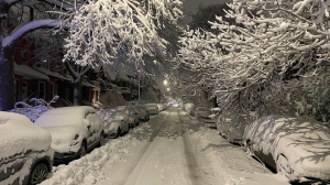Snow falls in Montreal. (Matt Gilmour/CTV News)