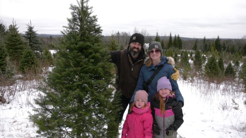 Andrew McDonald, wife Lana and two daughters pick out their perfect real Christmas tree at Copeman Tree Farms in Sundridge. Dec. 3/23 (Eric Taschner/CTV Northern Ontario)
