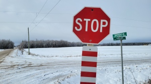 The stop signs have since been replaced, but police say their removal put "lives at risk." (Submitted/OPP)