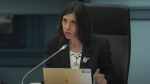Medical Officer of Health Dr. Vera Etches speaks at the Ottawa Board of Health meeting Monday, Dec. 4, 2023. (Ottawa Public Health/YouTube)