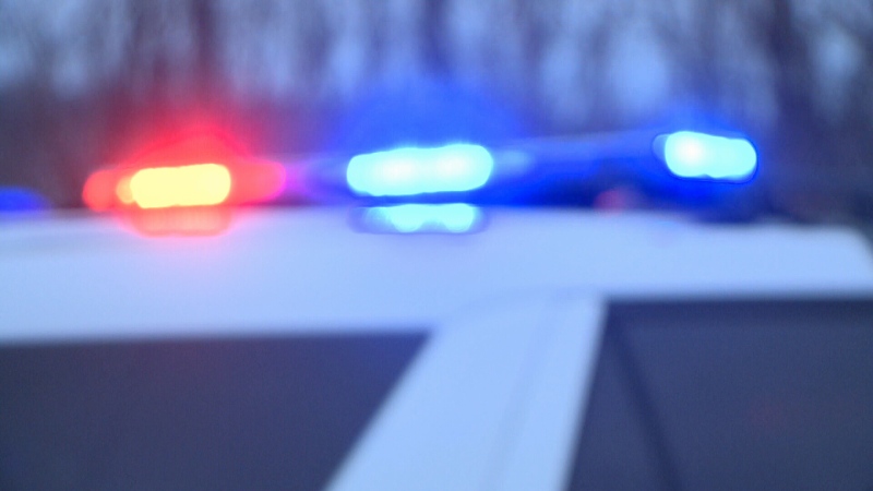 Red and blue lights atop an Ottawa police vehicle are seen in this undated file photo. 