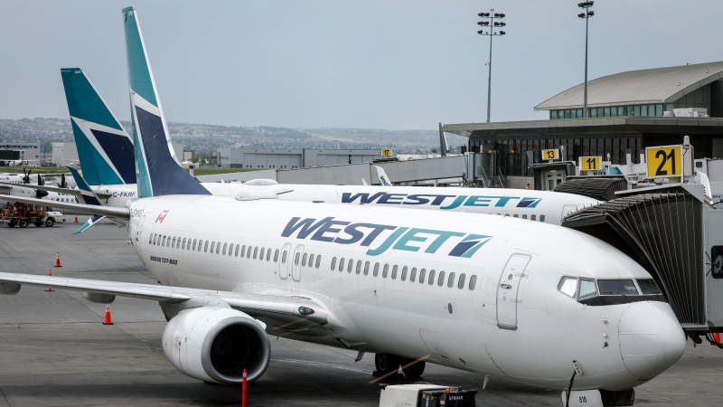 WestJet passenger jets parked at departure gates at the Calgary International Airport on Wednesday, May 31, 2023.THE CANADIAN PRESS/Jeff McIntosh.