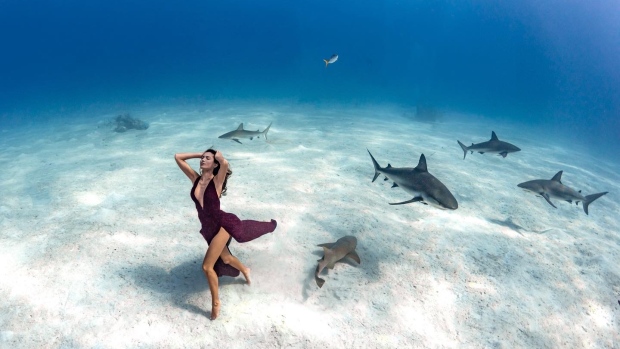 Kim Bruneau posing with sharks