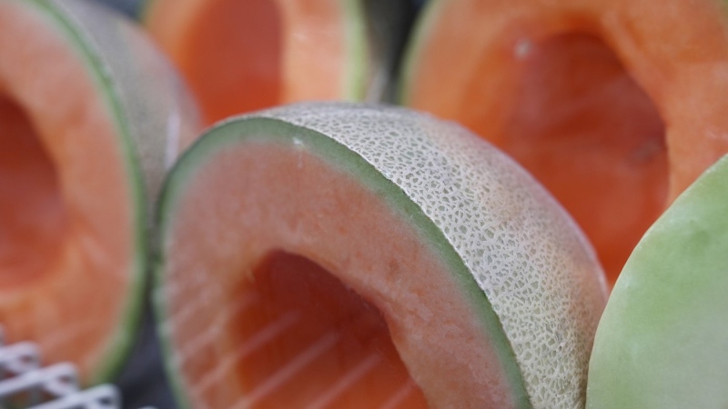 3rd class-action lawsuit over cantaloupe salmonella outbreak filed in Canada