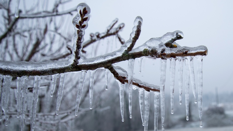Freezing rain from an ice storm is pictured. (File image)