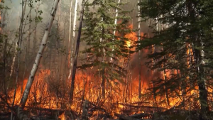 A wildfire burning in Alberta in 2023. (CTV News Edmonton)