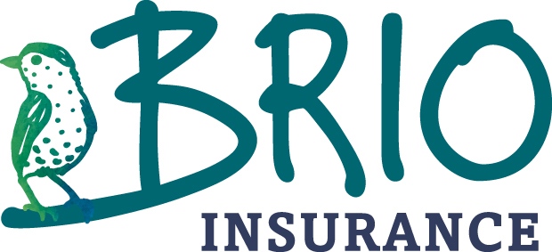 Brio Insurance Ask Expert