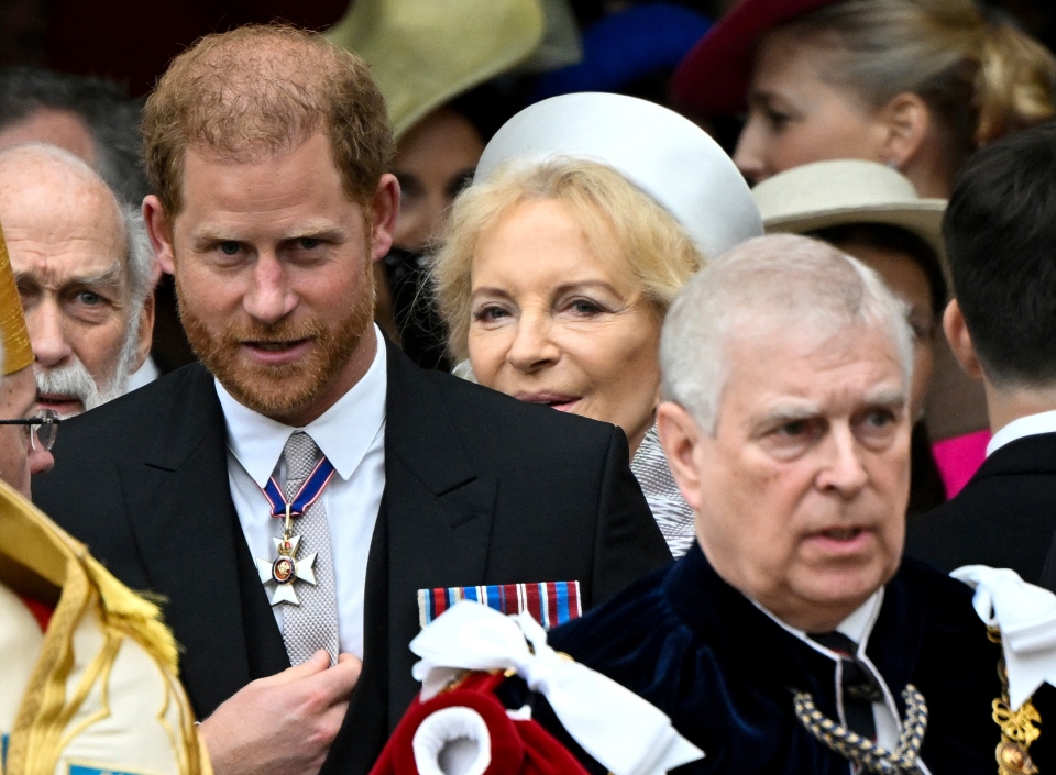 Prince Harry, Duke of Sussex, and Prince Andrew