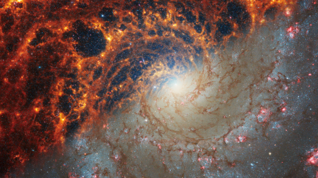 Face-on spiral galaxy, NGC 628, is split diagonally in this image: The James Webb Space Telescope’s observations appear at top left, and the Hubble Space Telescope’s on bottom right. Webb and Hubble’s images show a striking contrast, an inverse of darkness and light. In Webb's images, we see dust glowing in infrared light. In Hubble’s images, dark regions are where starlight is absorbed by dust. (NASA, ESA, CSA, STScI, Janice Lee (STScI), Thomas Williams (Oxford), and the PHANGS team)