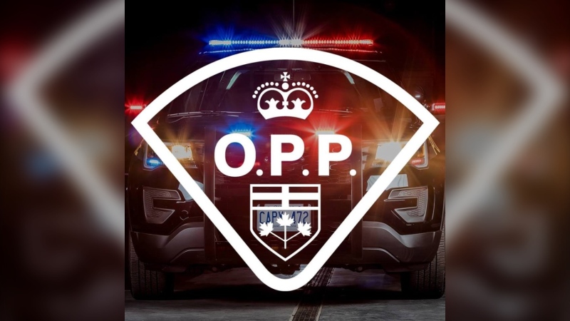 Ontario Provincial Police cruiser (Supplied)