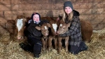 Joe Perreault and Ella Huot with the triplet calves that were born on their farm on Jan. 9, 2024. (Credit: Allen and Sherry Pereault)