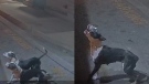 Photos released by police show the dogs which they believed attack a woman in Rexdale. (TPS)