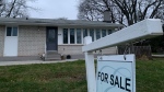 Real estate signage is shown in Oakville, Ont., west of Toronto, on Friday, Jan.12, 2024. THE CANADIAN PRESS/Richard Buchan