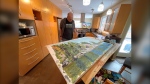 Philip Brake puts the final touches on a canvas inspired by the topography of Lac Du Bonnet. The Charleswood artist has been using a dye on silk technique since 2008. Joseph Bernacki/CTV News Winnipeg