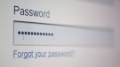 A screen to enter a password to a website is shown in Ottawa on Thursday, July 22, 2010. THE CANADIAN PRESS/Sean Kilpatrick