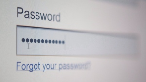 A screen to enter a password to a website is shown in Ottawa on Thursday, July 22, 2010. THE CANADIAN PRESS/Sean Kilpatrick
