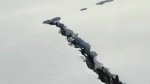 Drone footage captures wolves tunneling in snow