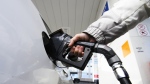 A woman fuels up her vehicle at a gas station in Mississauga, Ont., Tuesday, Feb. 13, 2024. The federal government is cutting the amount of financial relief small businesses will receive from carbon pricing revenues so it can increase the size of the rebate it is providing to rural families. THE CANADIAN PRESS/Christopher Katsarov