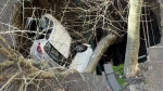 Two cars fell into a giant sinkhole on Wednesday, Feb. 21, 2024. (Source: Reuters)