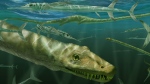 An artist's rendition of the ancient marine creature described as a 240-million-year-old 'dragon.' (Marlene Donelly via CNN Newsource)