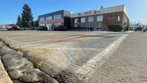A picture of the Pride crosswalk, painted in June 2023, in front of the Westlock Town Office taken on Feb. 23, 2024. (Amanda Anderson / CTV News Edmonton) 