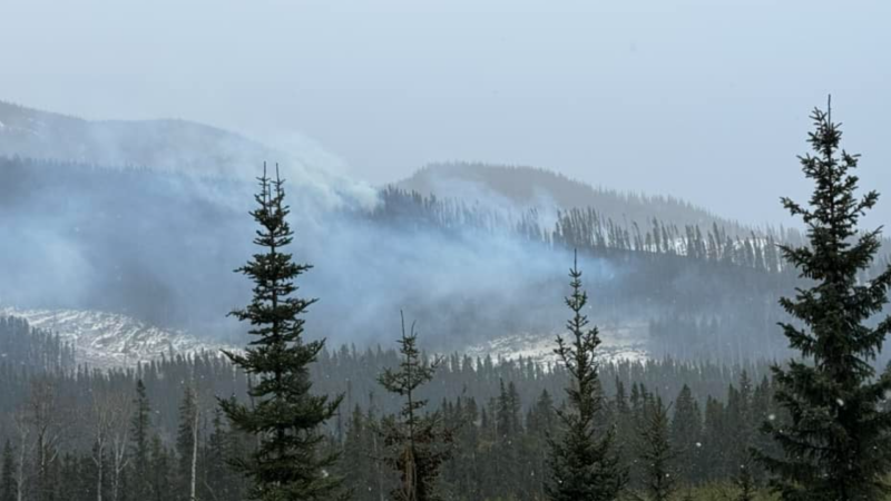 Hasler Wildfire started on February 23rd near Chetwynd. Picture courtesy of Facebook.