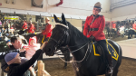 The RCMP’s world-famous Musical Ride held its annual open house over the weekend. (Jackie Perez/CTV News Ottawa)
