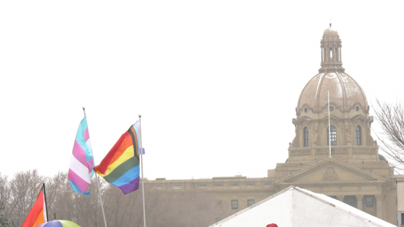 Flags fly at a trans rights rally at the Alberta Legislature Feb. 25, 2024. 