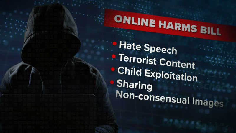 CTV National News: Protection from online harms