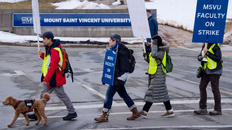 Full-time faculty, librarians and lab instructors at Mount Saint Vincent University walk the picket line after declaring a strike in Halifax, Monday, Feb. 12, 2024. THE CANADIAN PRESS/Darren Calabrese