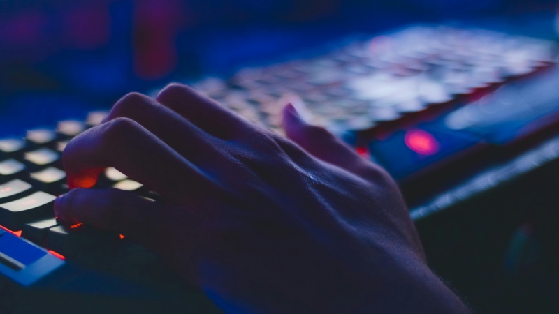 A person types on a keyboard in a dimly lit room. (Soumil Kumar/Pexels)
