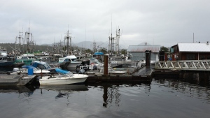 Fishing boats are docked at a marina in Bella Bella, B.C., on Tuesday, Oct. 25, 2022. THE CANADIAN PRESS/Chad Hipolito