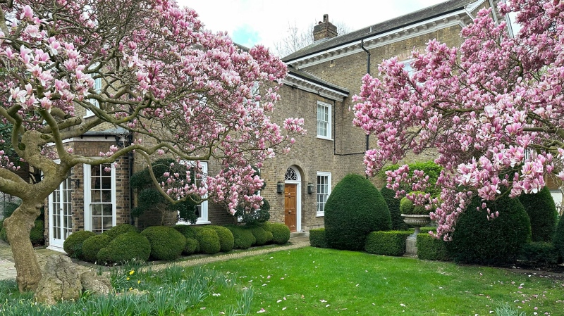 The garden features a host of topiary and mature trees, including magnolia trees. (Knight Frank via CNN Newsource)