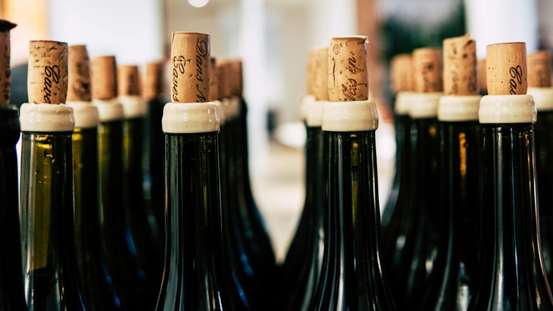 Wine bottles are seen in this stock image. (Grape Things/Pexels) 
