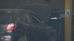 Quebec provincial police search a business in Montreal for suspected stolen vehicles (CTV News)
