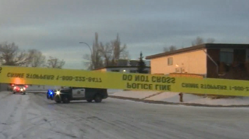 Shooting in northeast Calgary under investigation