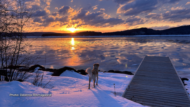 Sunset last night over Bark Lake, Madawaska Valley. Even Benji, our rescue dog was in awe. (Deanna Ravnsgaard/CTV Viewer)