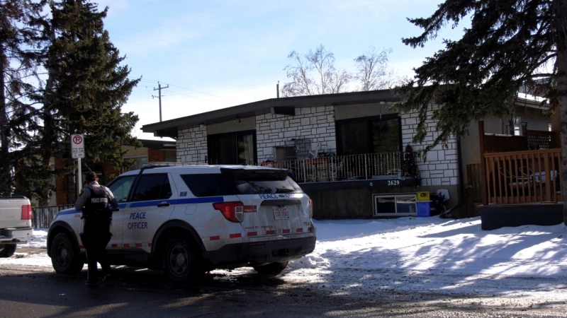 Another dog attack in southeast Calgary on Wednesday makes for three in about 72 hours, all of which are believed to have involved Pit Bulls.