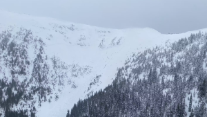 The site of a Feb. 24, 2024, avalanche near the B.C.-Alberta border. (Southwestern Alberta Regional Search and Rescue)