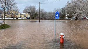 Holman Avenue is covered in water in Sussex, N.B., on Feb. 29, 2024.