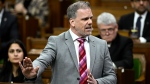 Minister of Health Mark Holland rises during Question Period in the House of Commons on Parliament Hill in Ottawa on Thursday, Feb. 29, 2024. THE CANADIAN PRESS/Justin Tang