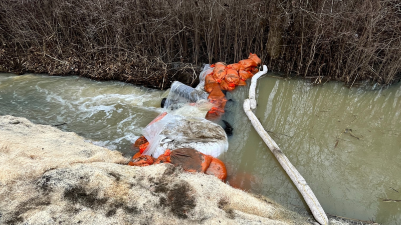 After a business in Chateauguay, Que. reported a diesel spill at the beginning of February, residents in the neighbouring Indigenous community of Kahnawake reported that it leached into a stream running through the territory. 