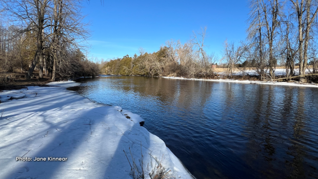 Blue Skies and open water on the Kemptville Creek on Feb. 26. (Jane Kinnear/CTV Viewer)
