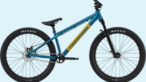 Health Canada recalled several items this week including counterfeit Viagra and Cialis and Cannondale Dave bicycles as seen in the above image. (Health Canada)