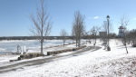 The Saint John River in Fredericton is pictured. (Source: Avery MacRae/CTV News Atlantic)