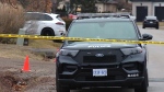 The SIU is investigating after a man was shot and killed by police officers in Halton Region on Saturday.