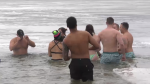Cold plungers plunging into kempenfelt bay (CTV News/Mike Lang)